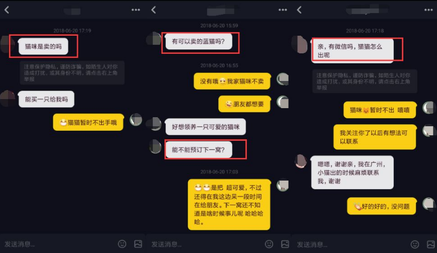 蹭一波抖音热度如何利用一张图片引粉10000+！