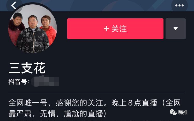 抖音 “山支花”涨粉400W成功翻红！你还记得她们吗？